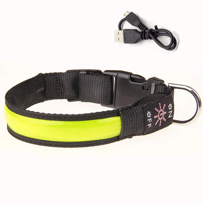 Collier lumineux pour chien LEEPOMAS™ | USB
