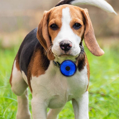 Pendentif lumineux LED pour chien SERGAR™