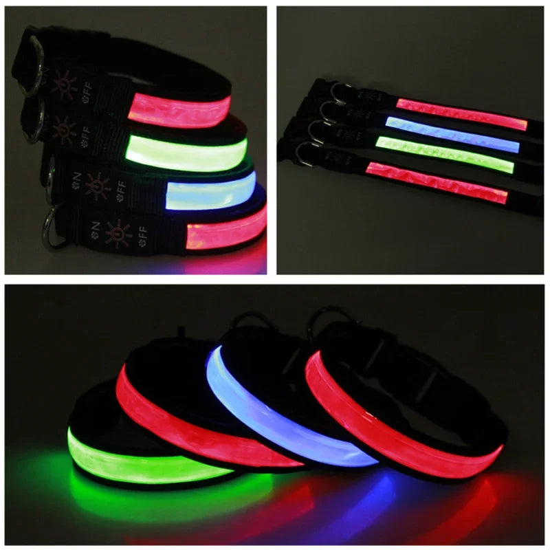 Collier lumineux pour chien LEEPOMAS™ | USB