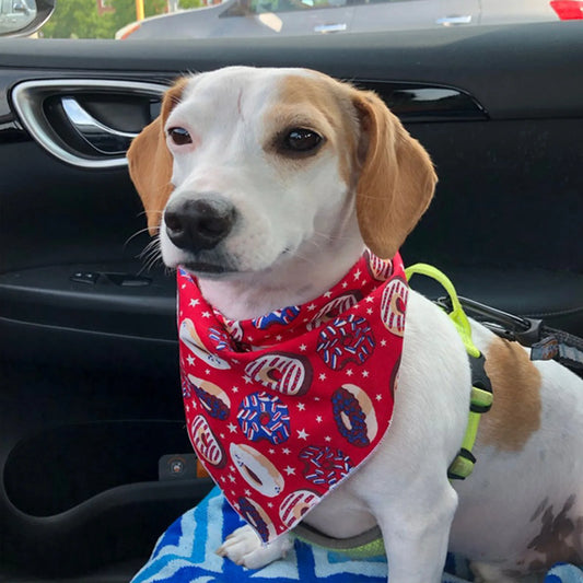 Foulard chien triangulaire PERROS™ | Bandana