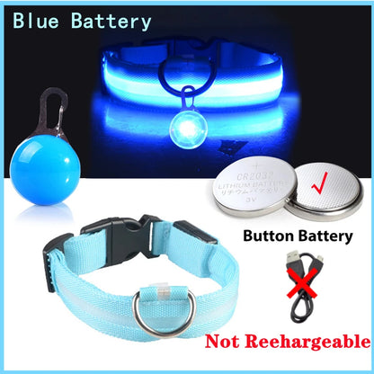 Collier lumineux pour chien LORIS™