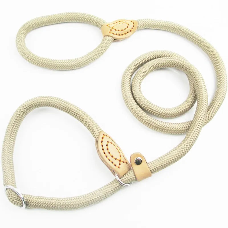 Laisse chien ROSSI™ | corde coulissante tressée