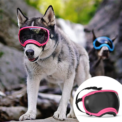 Lunettes protection chien DOGGYF™