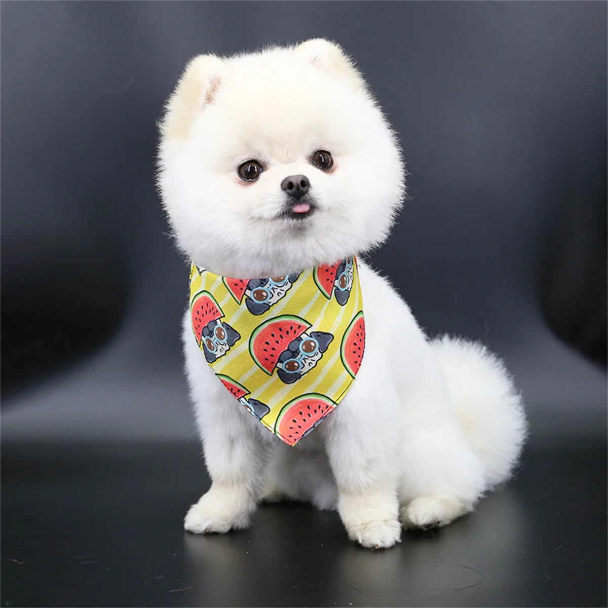 Bandana pour chien MORTY™ | foulard réglable