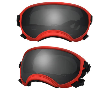 Lunettes protection chien DOGGYF™