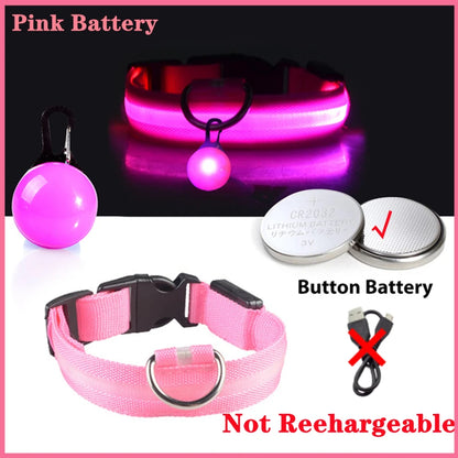 Collier lumineux pour chien LORIS™