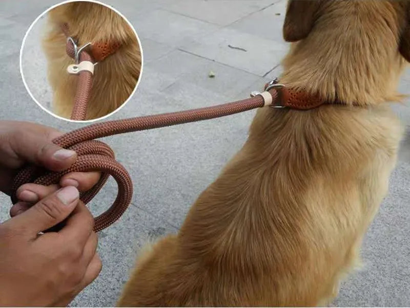 Laisse chien ROSSI™ | corde coulissante tressée
