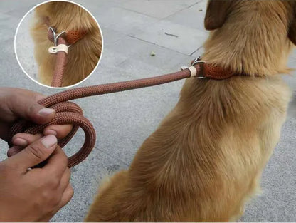 Laisse chien ROSSI™ | corde coulissante tressée