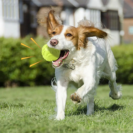 Balle couineur CORSA™ | jouet pour chien
