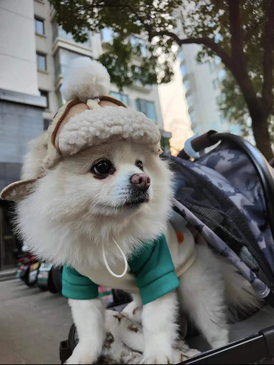 Chapeau pour chien PERLA™ | bonnet laine