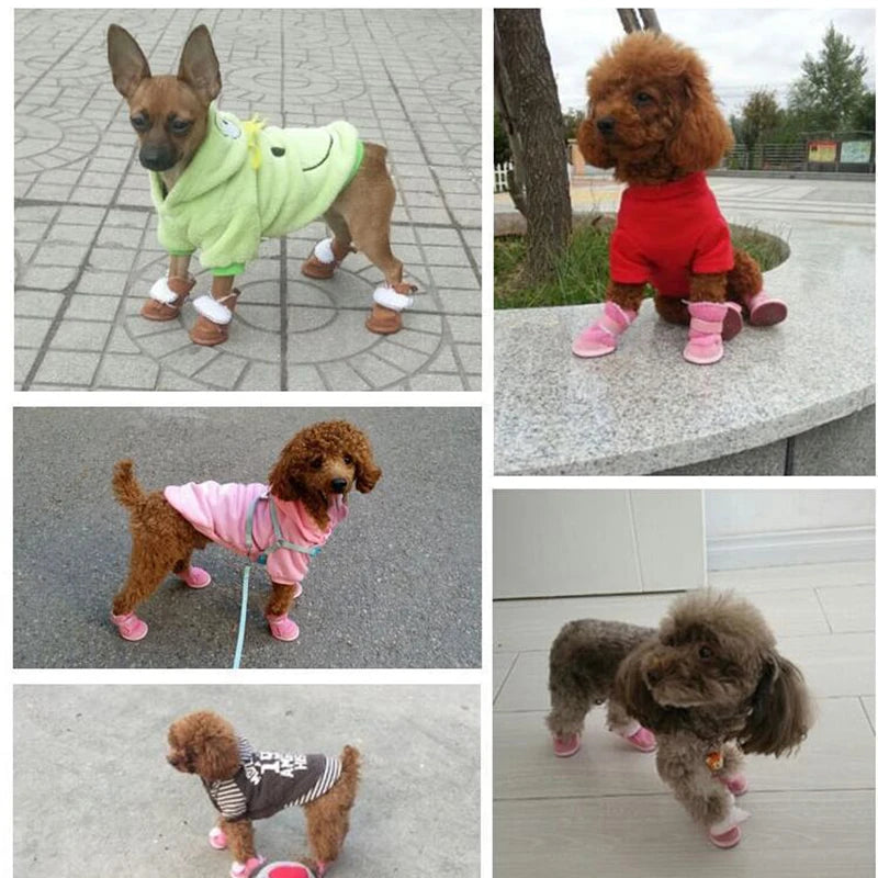 Chaussettes pour chien MURS™ |  bottes