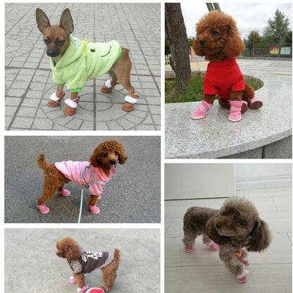 Chaussettes pour chien MURS™ |  bottes