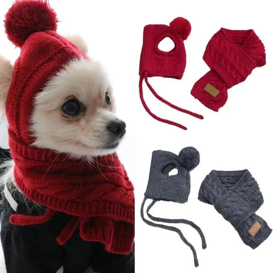 Bonnet pour chien TEDDY  | chapeau chien