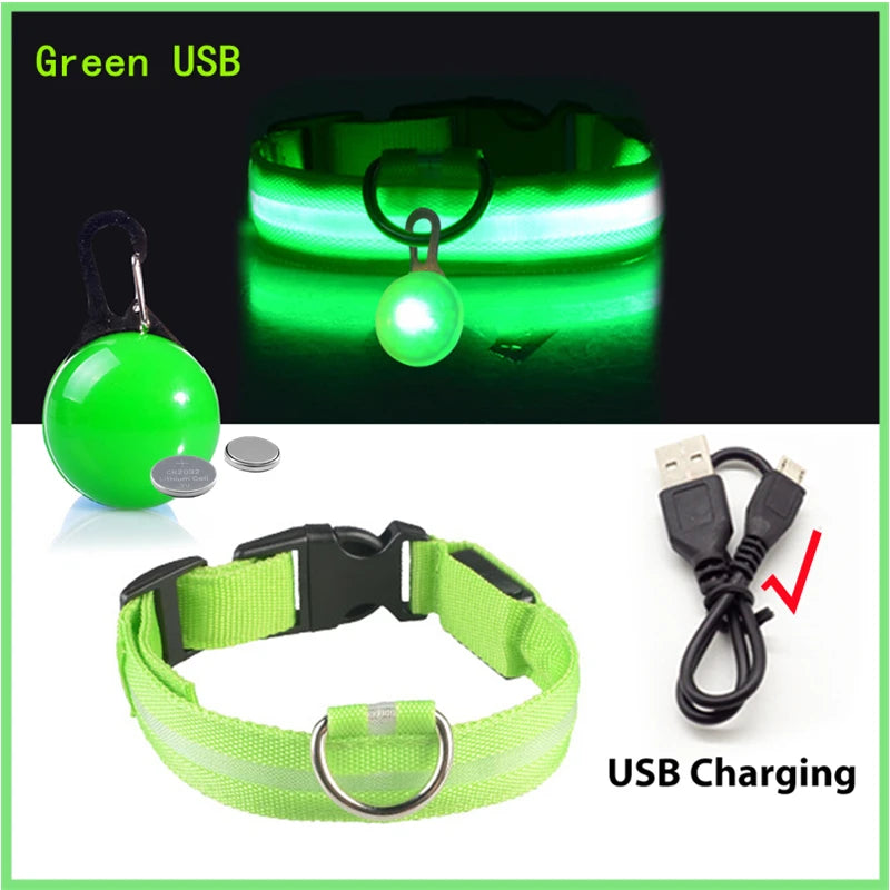 Collier lumineux pour chien LORIS™