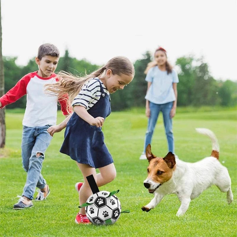 Jouet pour chien MORTY™ | ballon football interactif