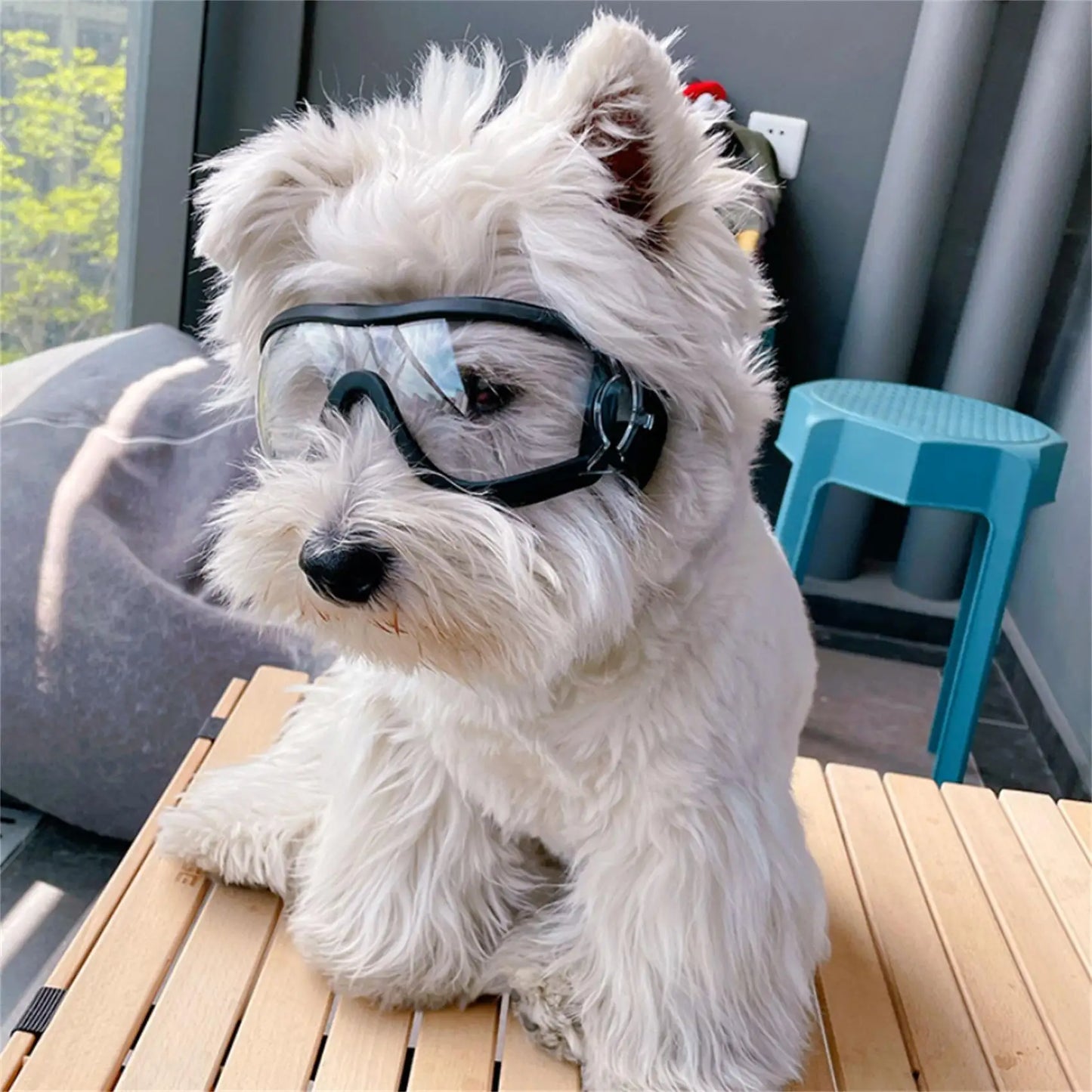Lunettes de protection pour chien EIRAM™