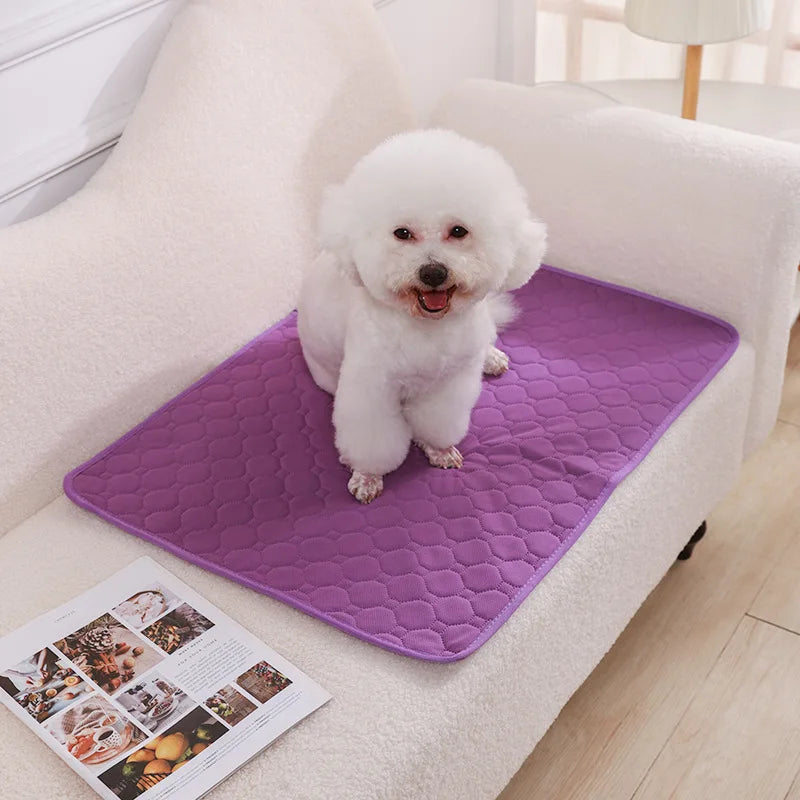 Tapis pour chien NAVARO™ | absorbant
