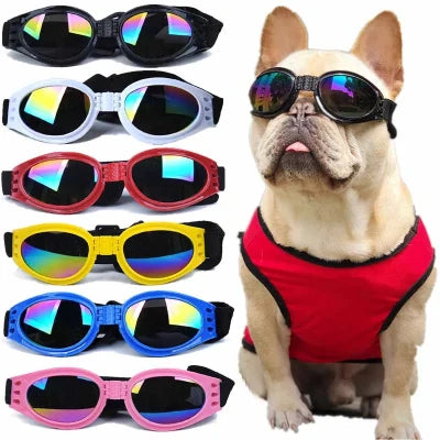 Lunettes de soleil pour chien OLEG™