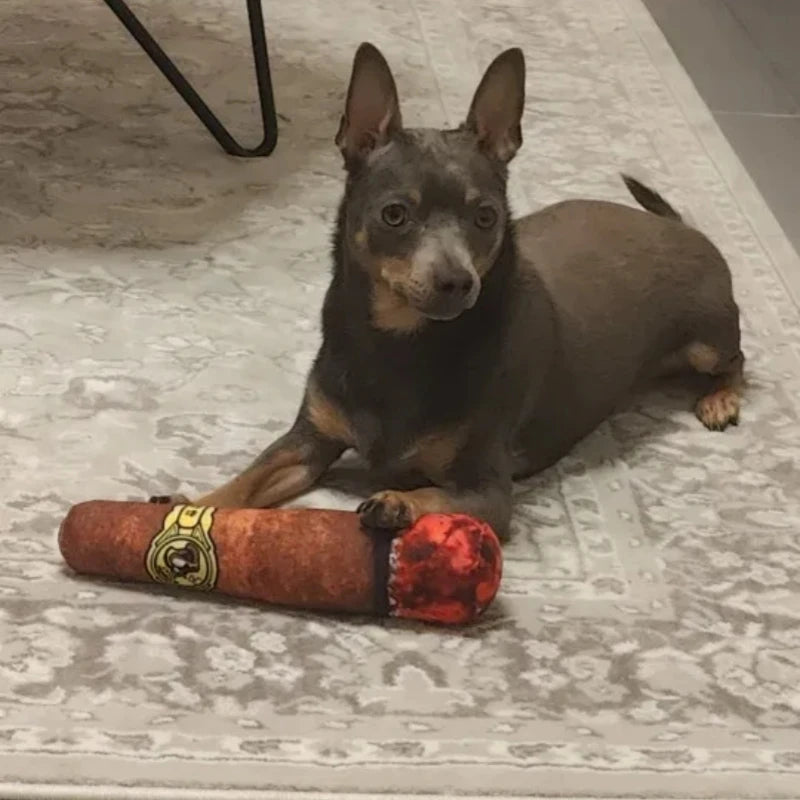 Jouet pour chien DOGGYF™ | interactif sonore