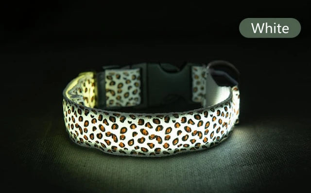 Collier lumineux pour chien TEDDY™