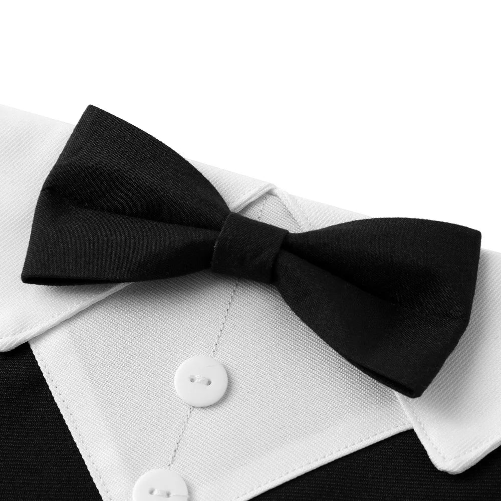 Foulard pour chien TORENTO™ | bandana noeud papillon réglable