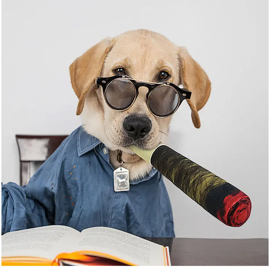 Jouet pour chien DOGGYF™ | interactif sonore