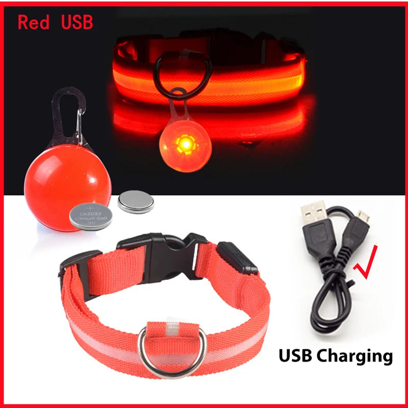 Collier lumineux pour chien LORIS™