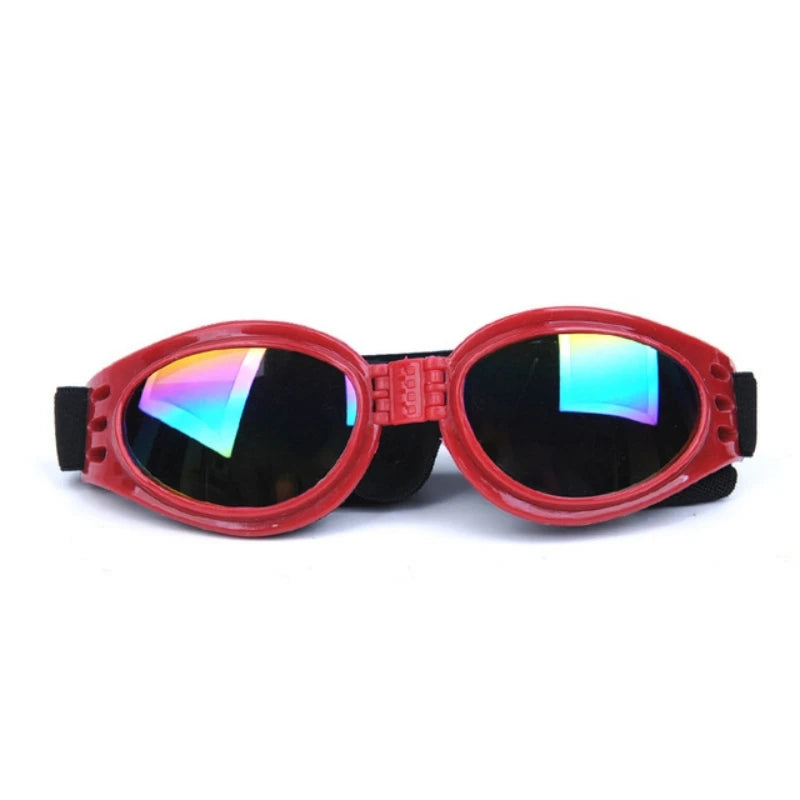 Lunettes de soleil pour chien OLEG™