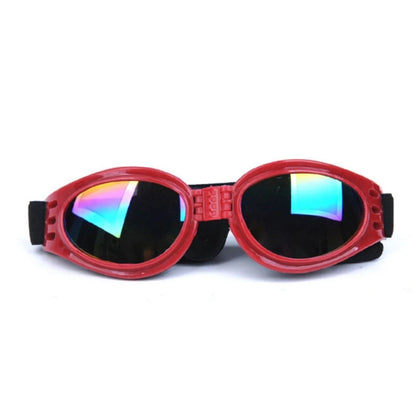 Lunettes de soleil pour chien OLEG™