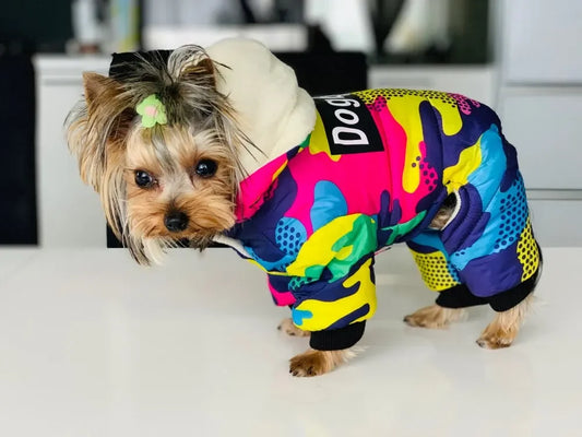Manteau chien JISOSO™ | doudoune d'hiver
