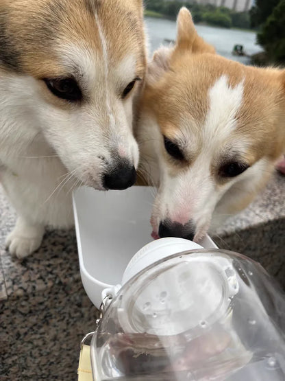 Gourde chien MUSHIPIPET