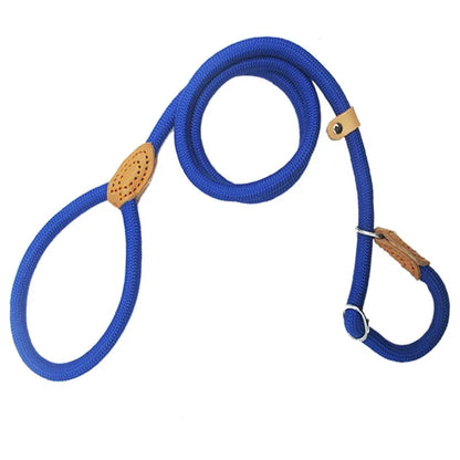 Laisse chien ROSSI™ | corde coulissante tressée