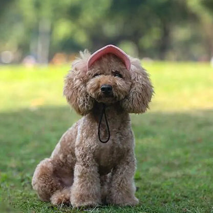 Casquette pour chien KELSON™ | casquette pour maître