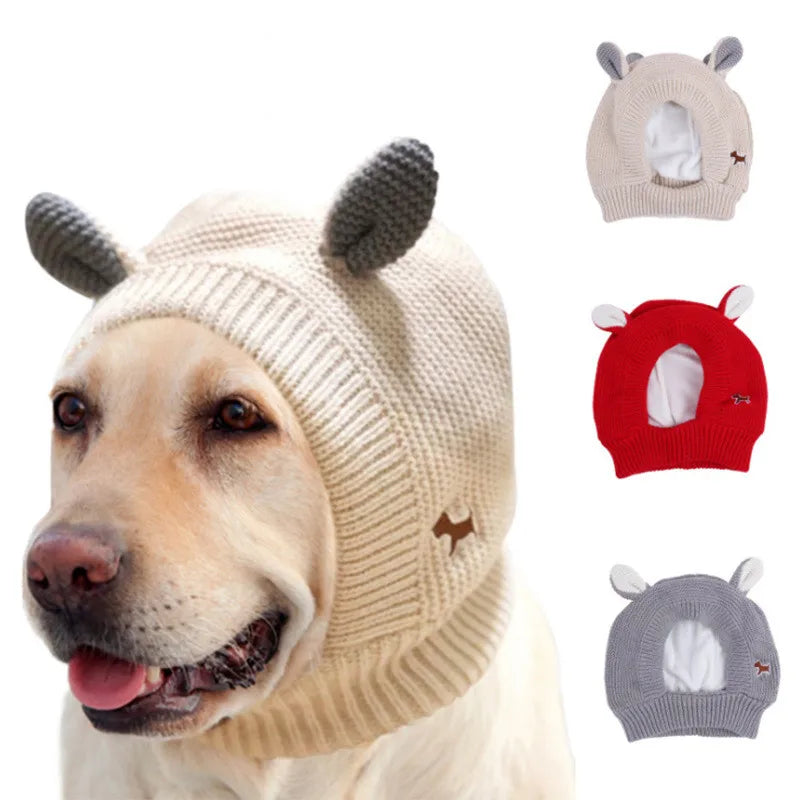 Bonnet pour chien PETGAR™ | chapeau chien