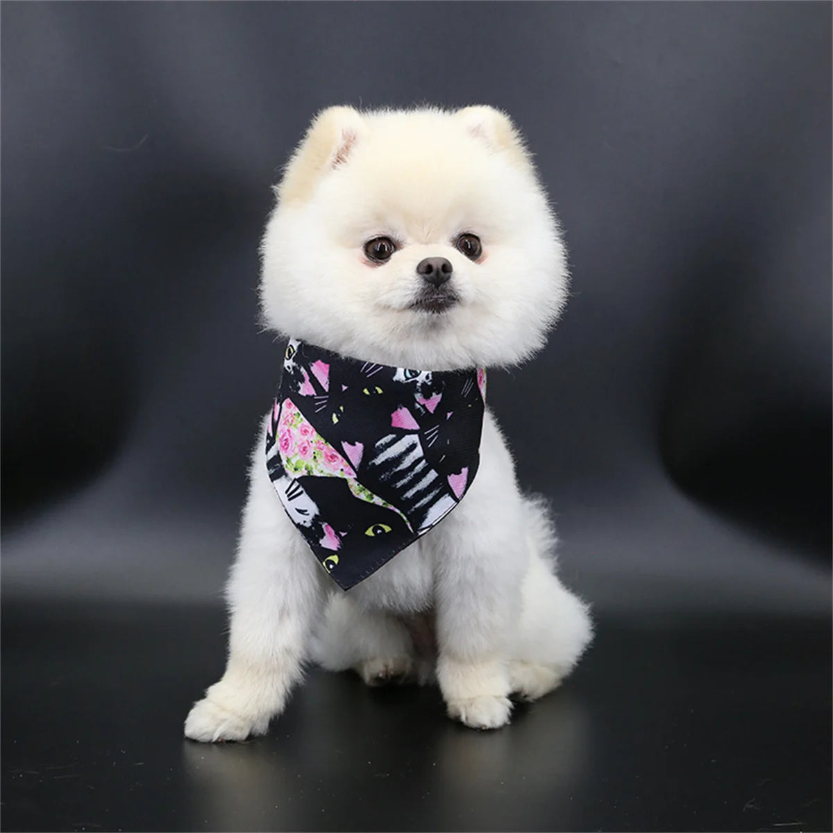 Bandana pour chien MORTY™ | foulard réglable
