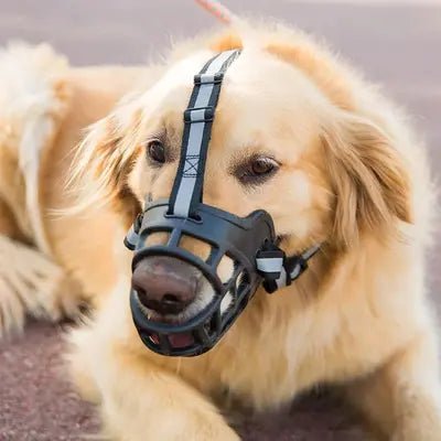 ANTIBARKDOG™ | Collier Anti Aboiement pour Chien - Passion d'Edgar