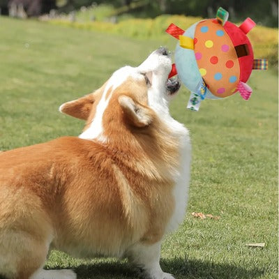 Jouet pour chien  TEO™  | ballon interactif sonore