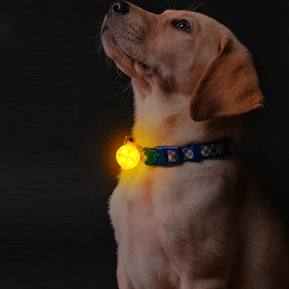 Pendentif lumineux LED pour chien SERGAR™