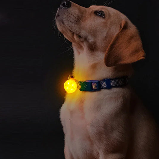 Pendentif lumineux LED pour chien SERGAR™