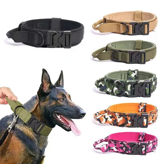 Collier chien TORENTO™ | tactique militaire