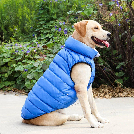 GLACEDOG™ chien | Manteau chien Doudoune - Passion d'Edgar