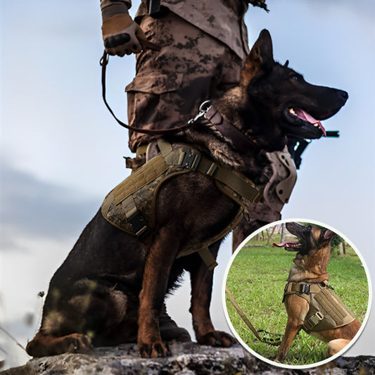 Ensemble Harnais laisse collier tactique pour chien REVOLUDOG™