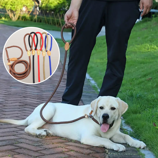 Laisse chien ROSSI™ | corde coulissante tressée