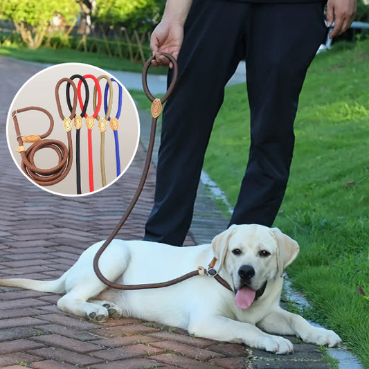 Laisse chien ROSSI™ | corde coulissante tressée