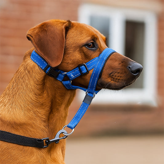 Collier dressage chien SERGAR™ | licou