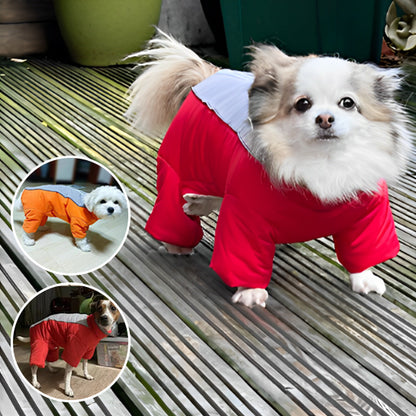 Doudoune chien GLORIUS™ | manteau d'hiver