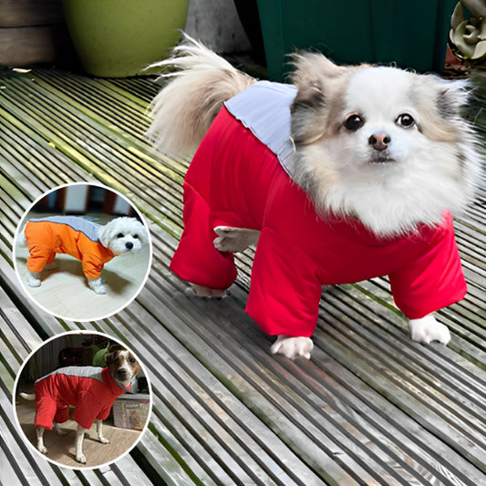Doudoune chien GLORIUS™ | manteau d'hiver