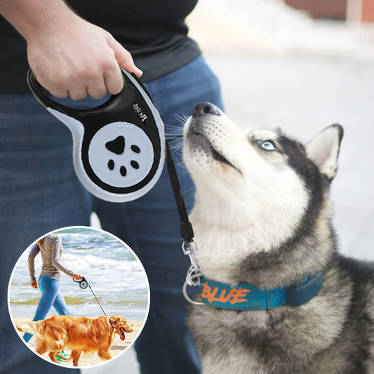 Laisse chien  BULAC™ | nylon rétractable