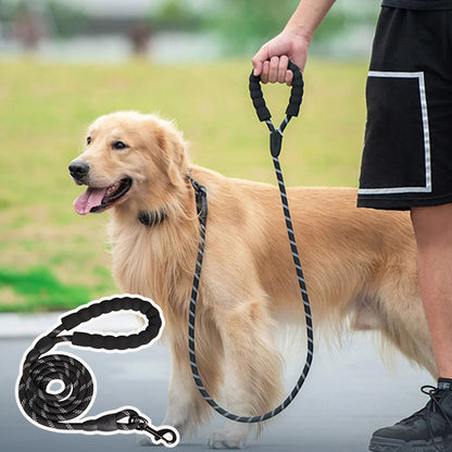 Laisse pour chien LAZOE™ | nylon réfléchissant