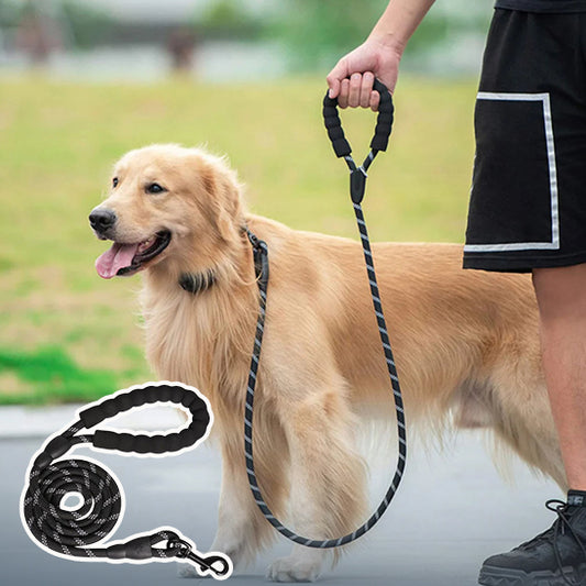 Laisse pour chien LAZOE™ | nylon réfléchissant
